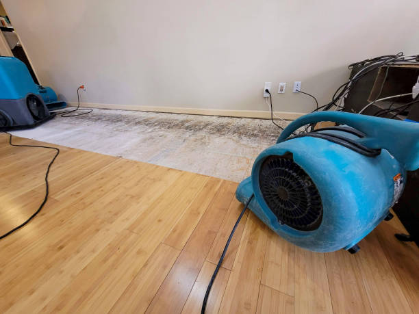 Professional Flood Damage Cleanup technician working in Dumas, TX